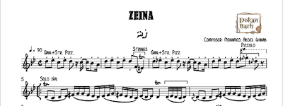 Zeina-AbdelWahab Music Notes