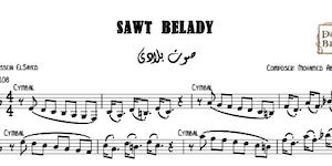 Sawt Belady - صوت بلادي