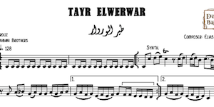 Tayr ElWerwar-Free طير الوروار
